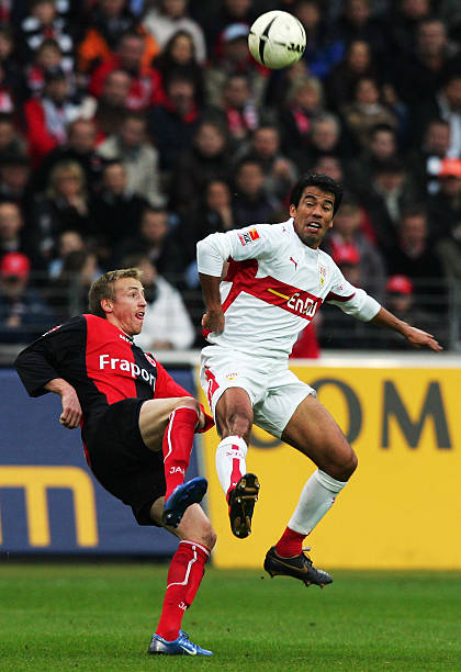 些高质量的 些高质量的