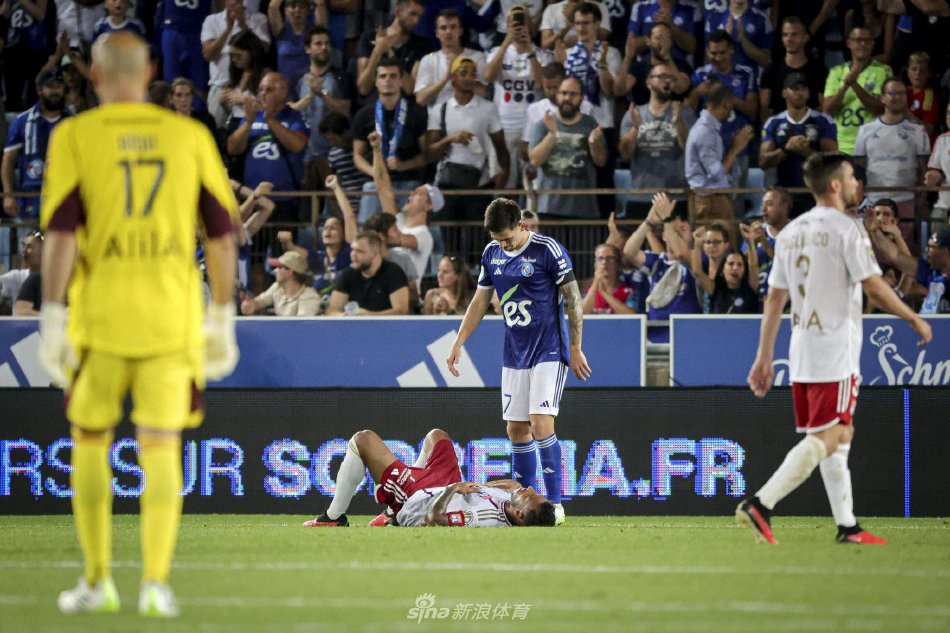 拥有极强的 拥有极强的